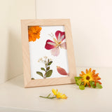 KIKKERLAND HUCKLEBERRY PRESSED FLOWER FRAME