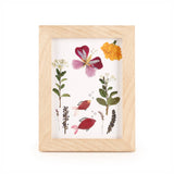 KIKKERLAND HUCKLEBERRY PRESSED FLOWER FRAME