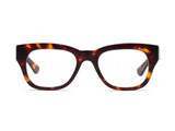 MIKLOS READERS-TURTLE