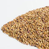 MUMM'S SPROUTING SEEDS- SANDWICH BOOSTER