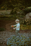 PEBBLE CARROT RATTLE