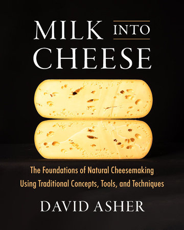 MILK INTO CHEESE-ASHER