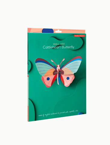 CATTLEHEART BUTTERFLY-BIG INSECTS