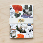 FUNGI NOTEBOOK