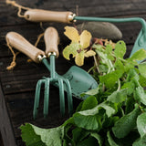 CULTIVATOR WALNUT- MINT