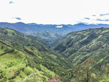 SEPTEMBER-LAS PERLITAS COLUMBIA