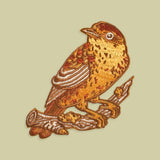 PALM WARBLER PATCH