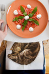 CAT NAPKINS