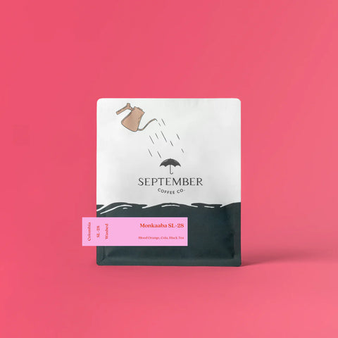 SEPTEMBER-MONKAABA SL-28