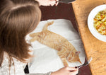 CAT NAPKINS