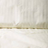 ORGANIC COTTON SHEET SET